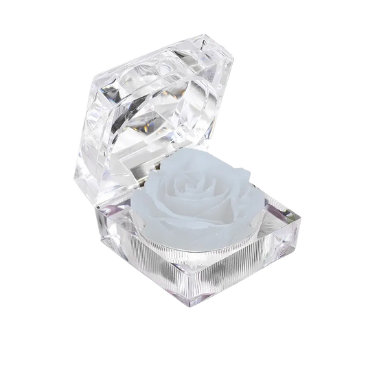 Preserved Rose in Crystal Box