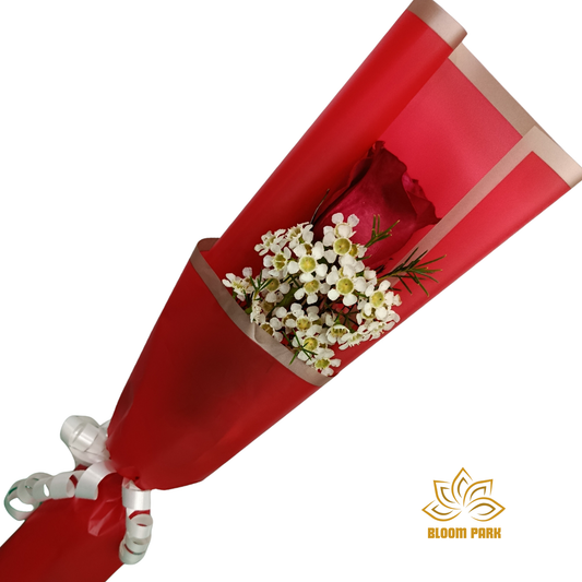 Elegant Classic Single Red Rose