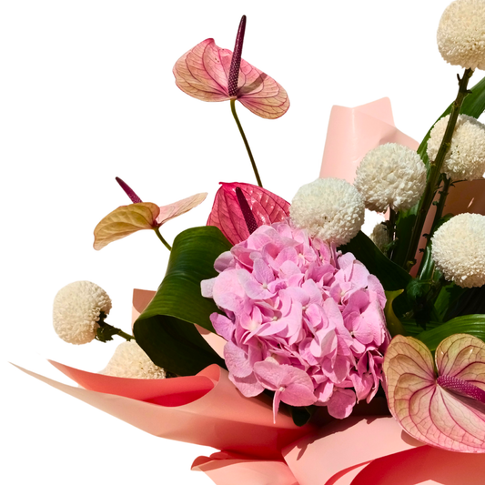 Blush Elegance Hydrangea & Anthurium Bouquet