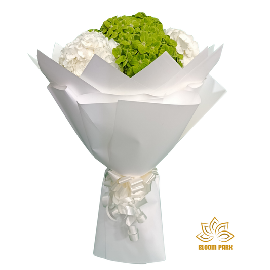 Green & White Hydrangea Hand Bouquet