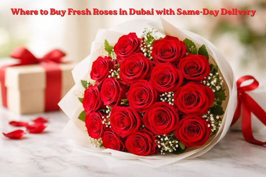Where to Buy Fresh Roses in Dubai with Same-Day Delivery