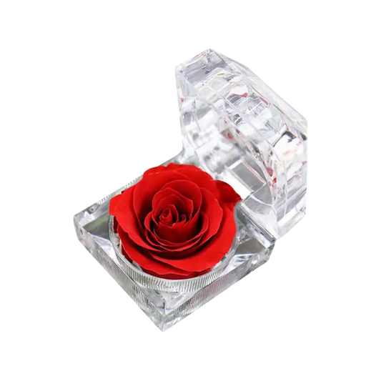 Preserved Rose in Crystal Box