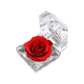 Preserved Rose in Crystal Box
