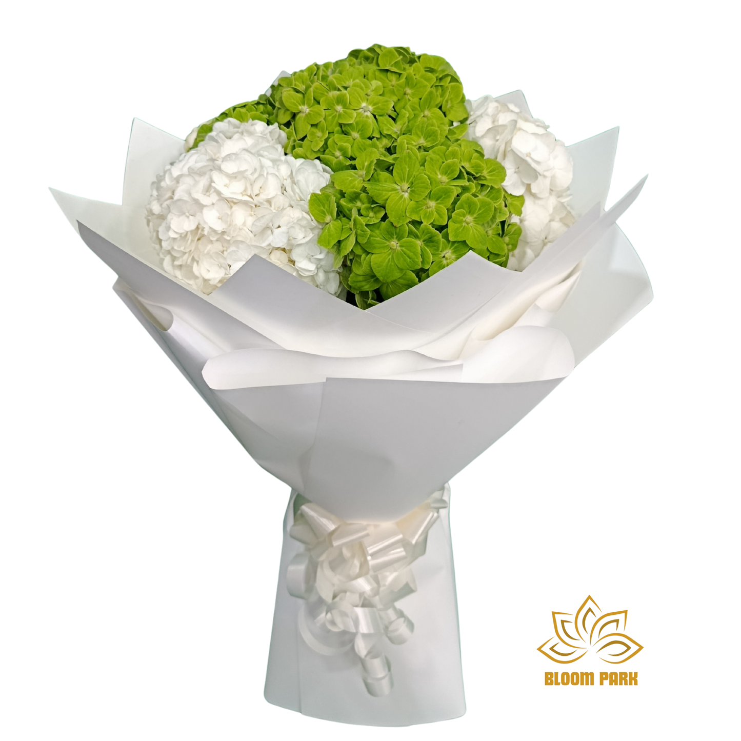 Bouquet of green and white flowers wrapped in white paper