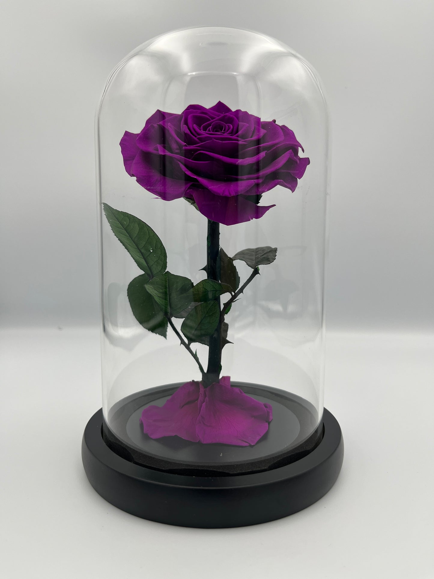 MEDIUM - SINGLE ROSE PURPLE