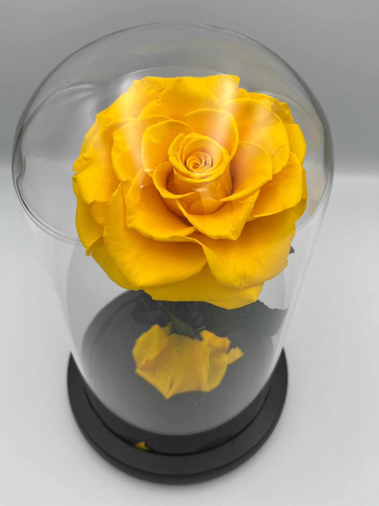 MEDIUM - SINGLE ROSE YELLOW