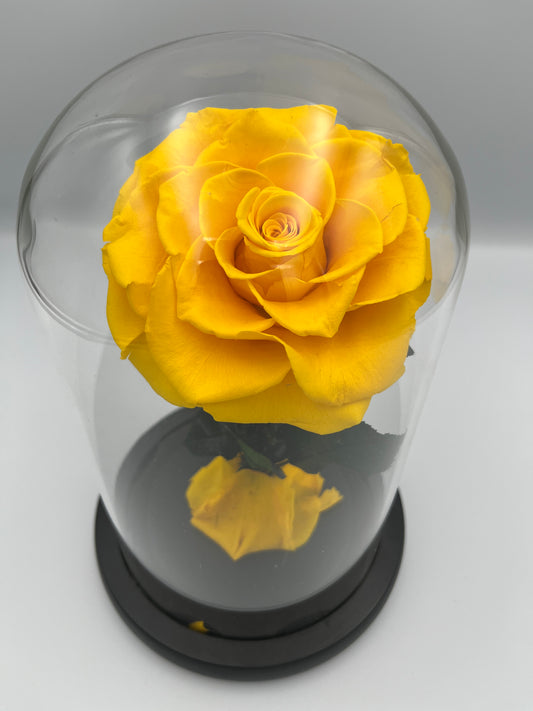 MEDIUM - SINGLE ROSE YELLOW
