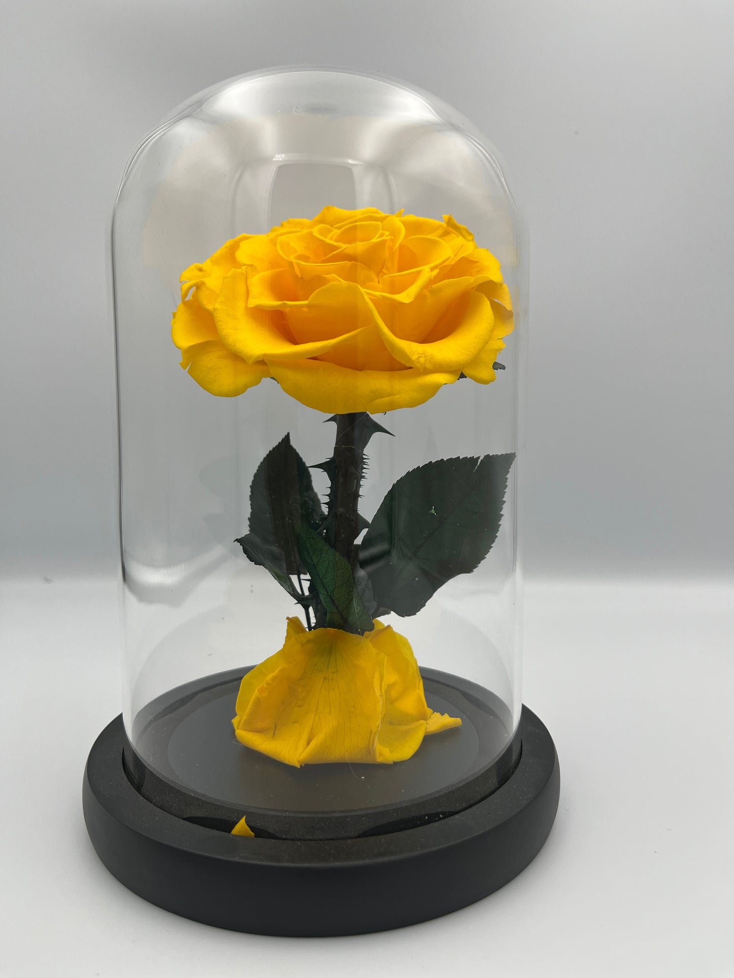 MEDIUM - SINGLE ROSE YELLOW