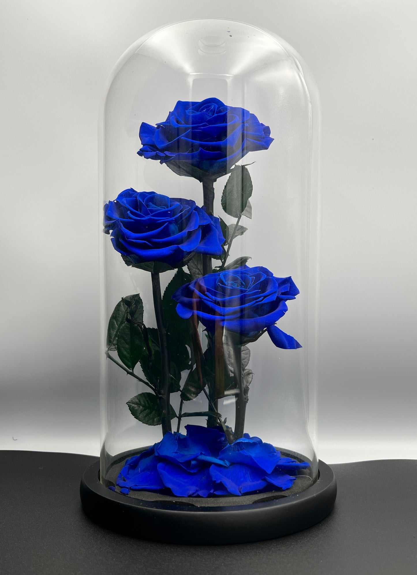 TALL - 3 ROSES BLUE