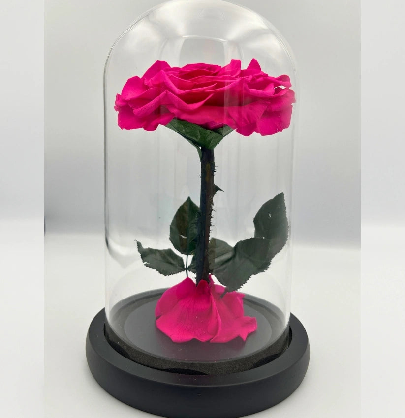 MEDIUM - SINGLE ROSY PINK