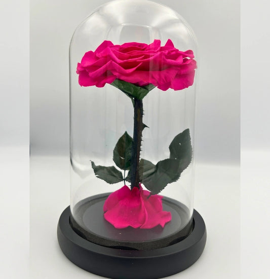 MEDIUM - SINGLE ROSY PINK