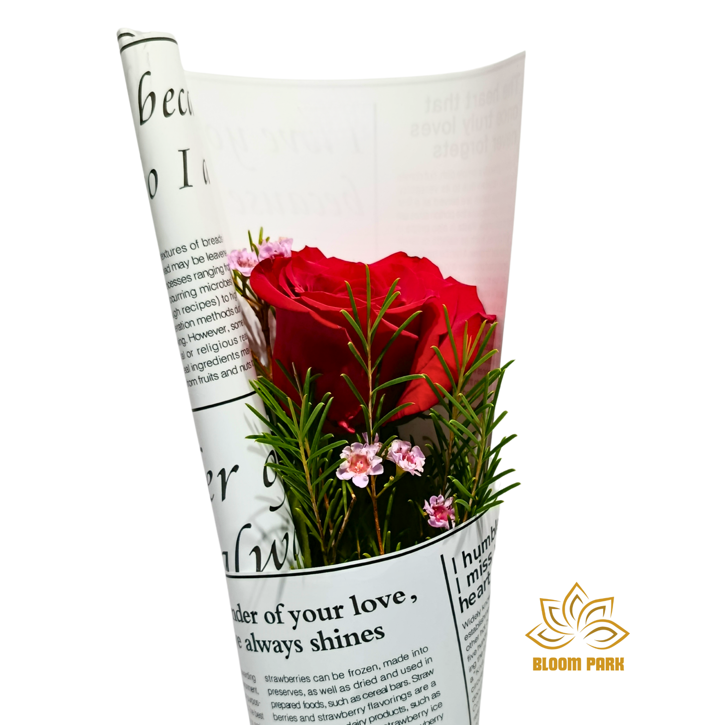 Single Red Rose Monochrome Bouquet