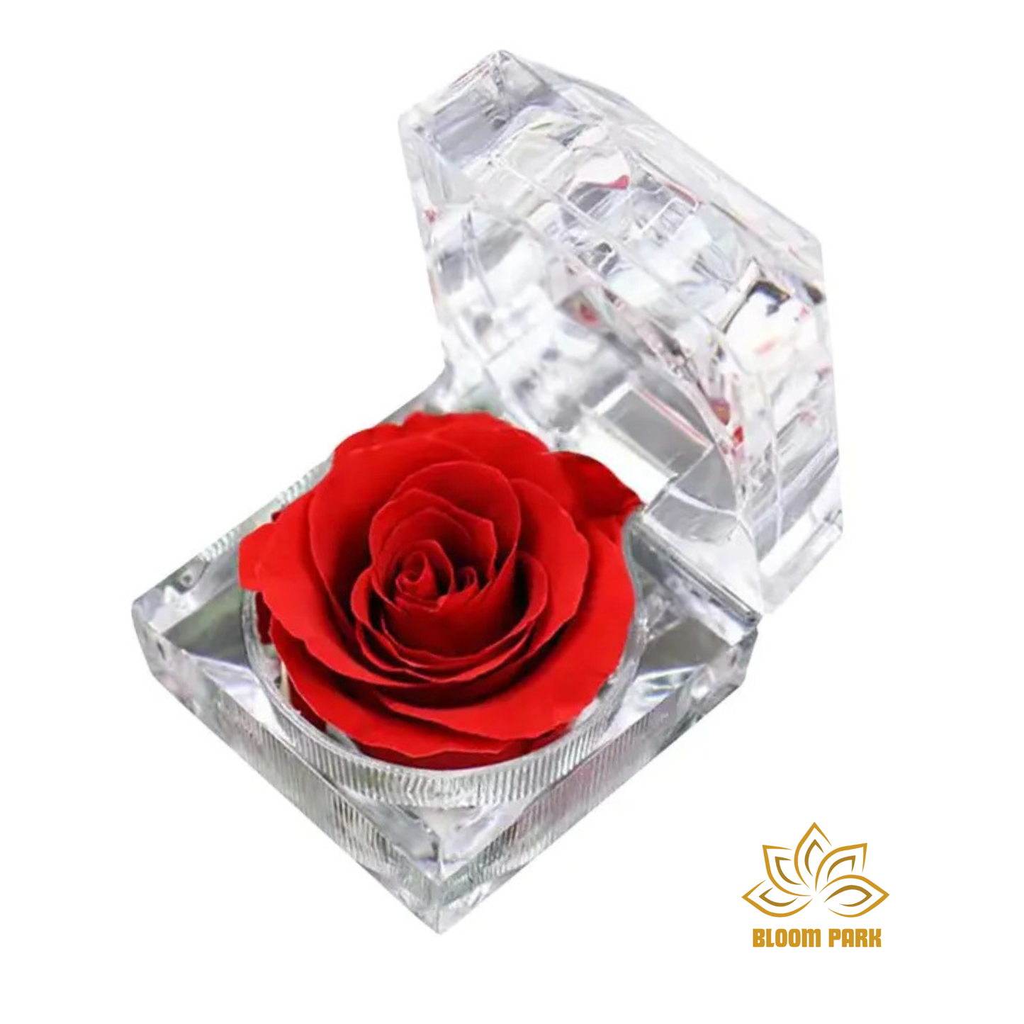 Red Preserved Rose in Crystal Box