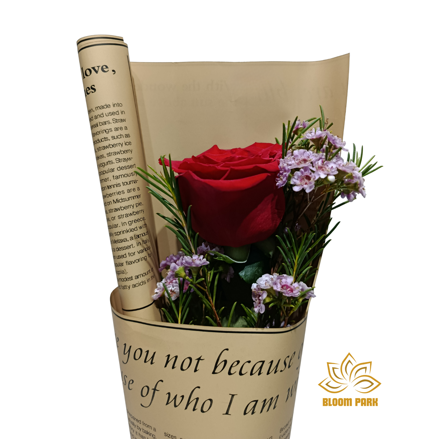 Classic Single Red Rose Message Bouquet