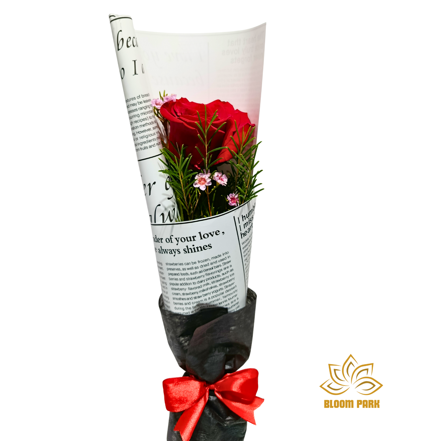 Single Red Rose Monochrome Bouquet