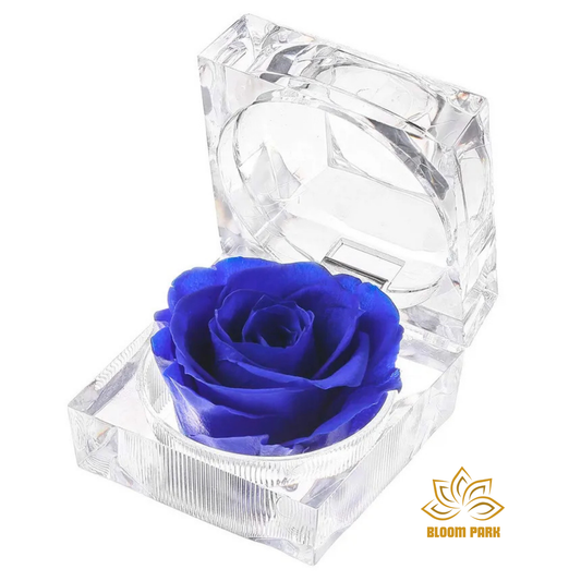 Blue Preserved Rose in Crystal Box
