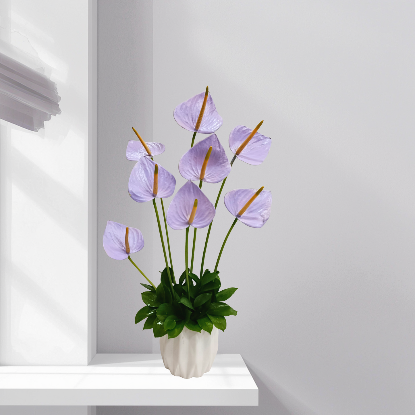 Anthurium in ceramic pot Arrangement