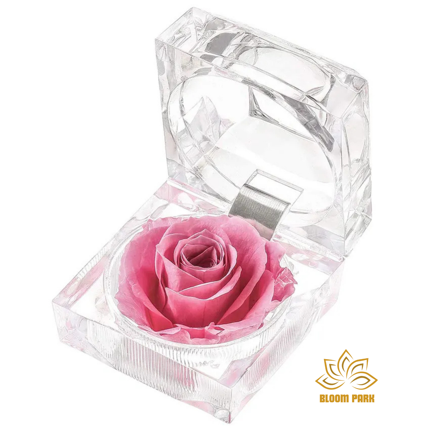 Pink Preserved Rose in Crystal Box