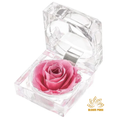 Pink Preserved Rose in Crystal Box