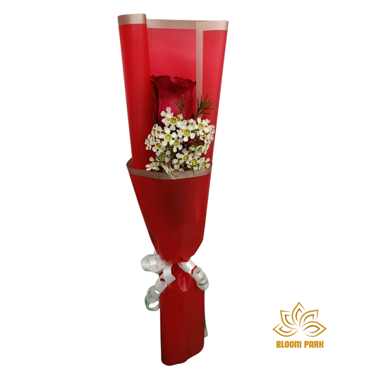 Elegant Classic Single Red Rose