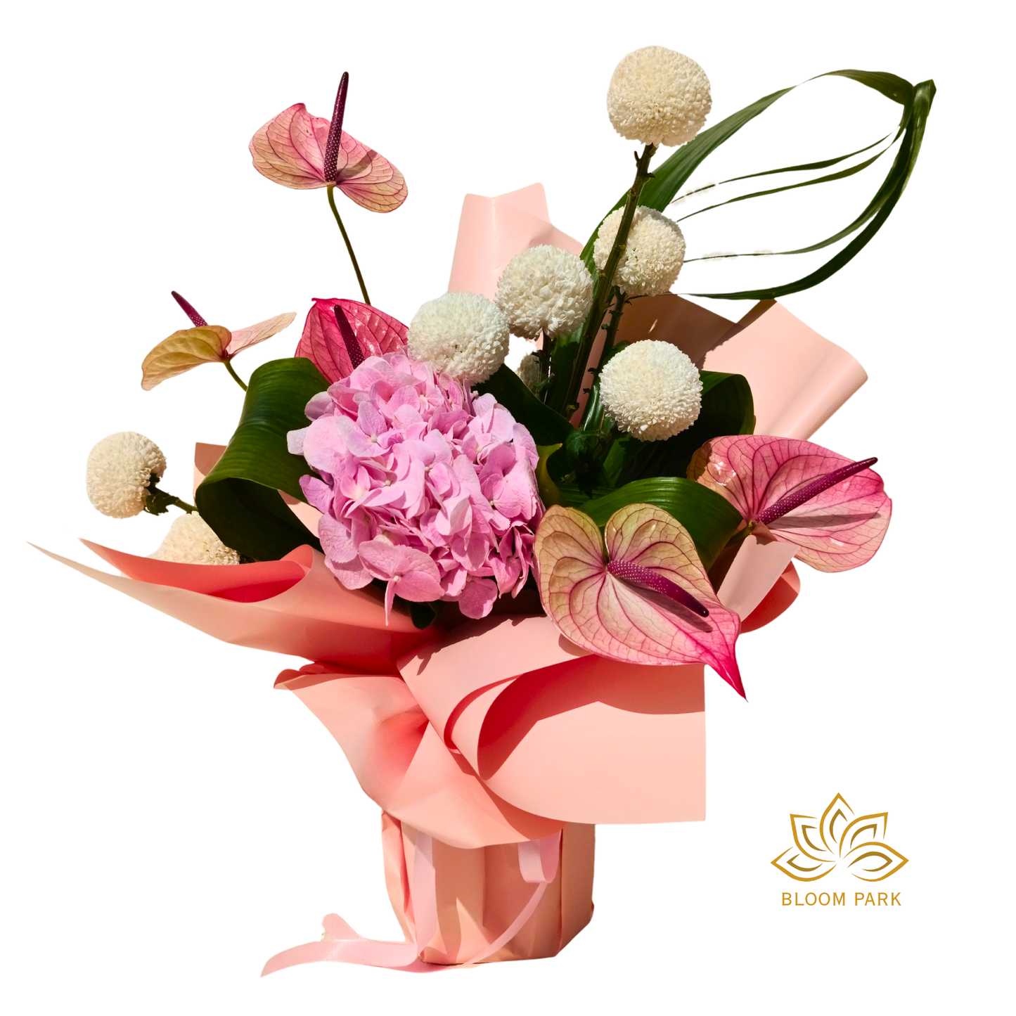 Blush Elegance Hydrangea & Anthurium Bouquet