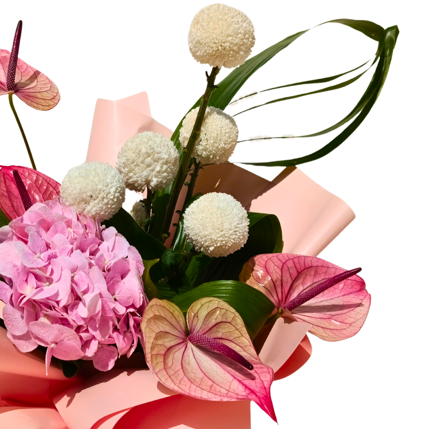 Blush Elegance Hydrangea & Anthurium Bouquet