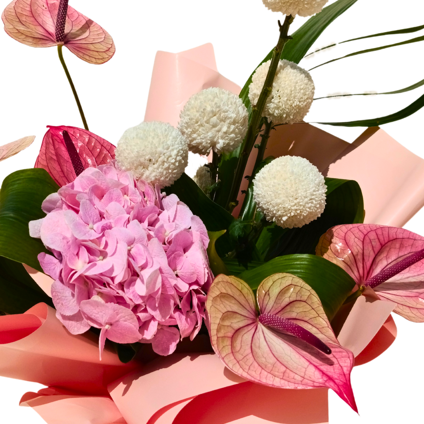 Blush Elegance Hydrangea & Anthurium Bouquet