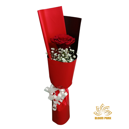 Crimson Elegance Single Rose