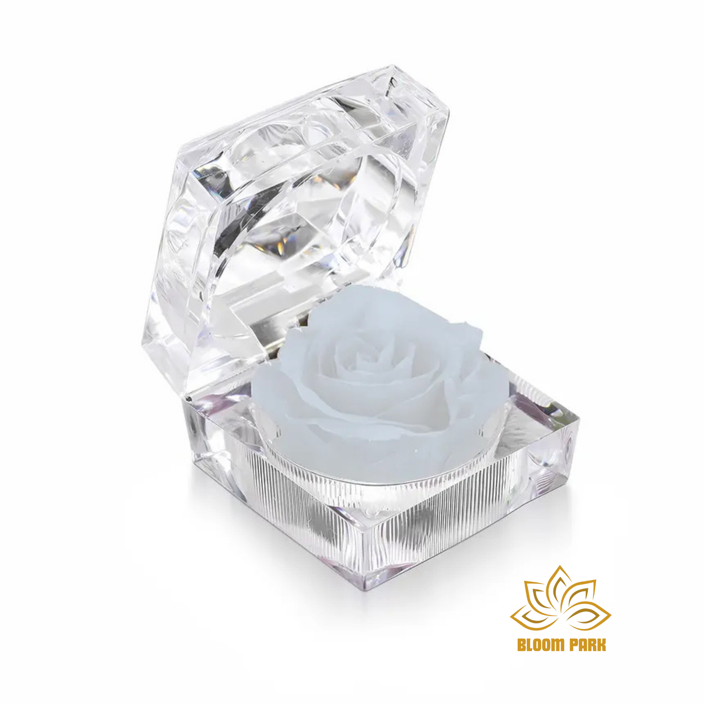 White Preserved Rose in Crystal Box
