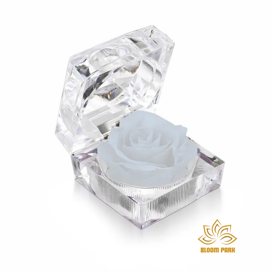 White Preserved Rose in Crystal Box