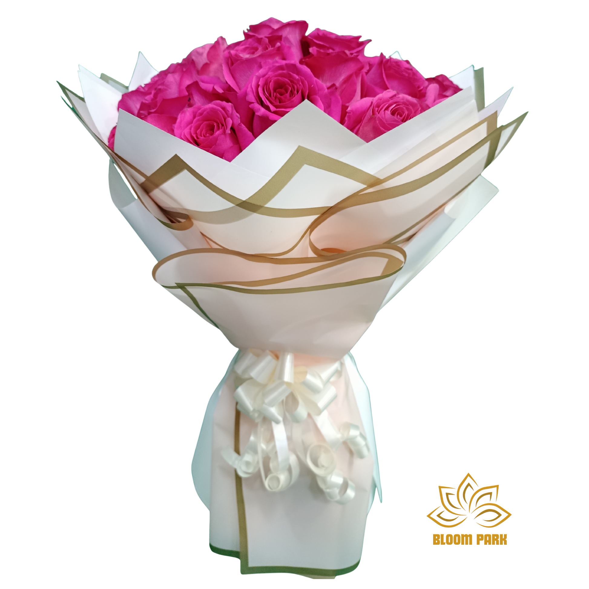 Bouquet of pink roses wrapped in white paper with gold accents on a white background, perfect for precent, special occasions.