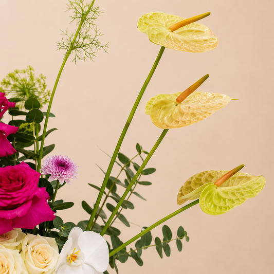 A close-up floral arrangement featuring pale yellow anthuriums with green stems, bright pink and white roses, a white orchid, and green foliage online flowers delivery Dubai
