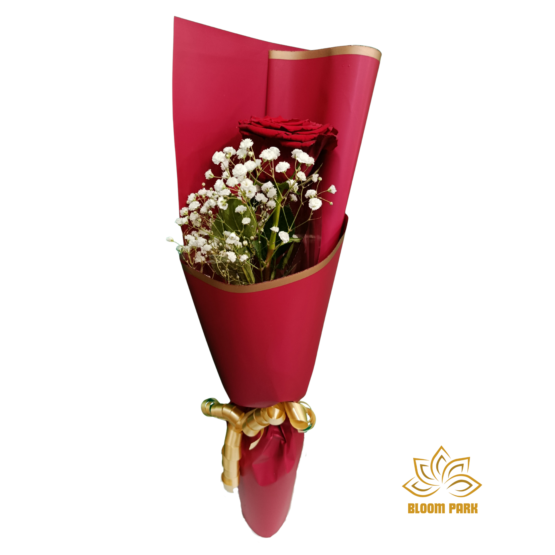 Bouquet of red roses and white flowers wrapped in red paper with a gold bow, cheap and affordable flower bouquet.
