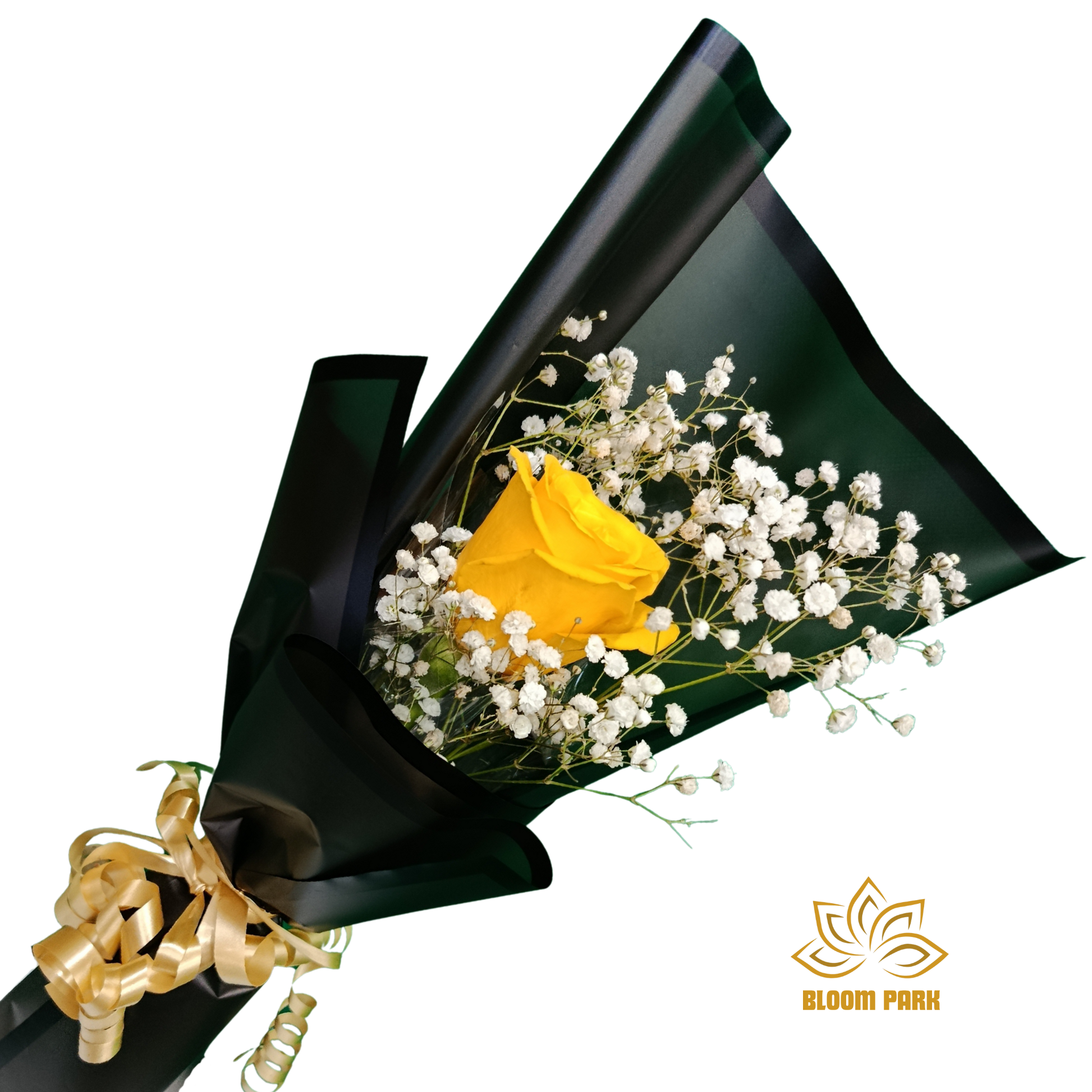 Bouquet of yellow rose and white baby's breath wrapped in black paper with gold ribbon, ready to deliver